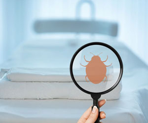 Bed bugs in hospital bed